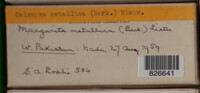 Image Associated With the Occurence